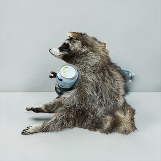 Raccoon mount