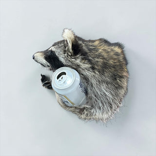 Raccoon mount