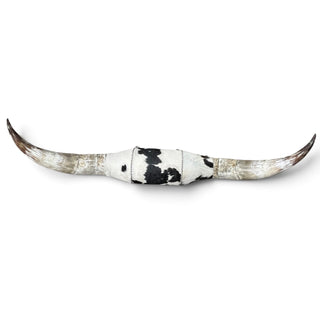 5.7ft Watusi horns mount