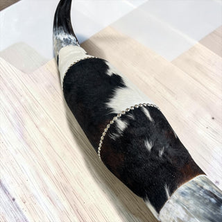 4.4ft Watusi horns mount