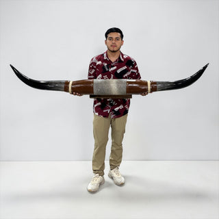 5.6ft Longhorn mount (h1)