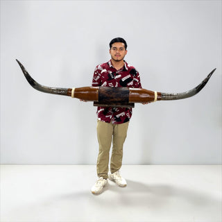 5.8ft Longhorn mount (H2)