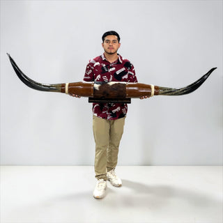 6ft Longhorn mount (h3)