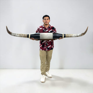 5.3ft Longhorn mount (h5)