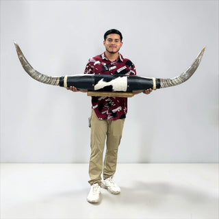 5.8ft Longhorn mount (h8)