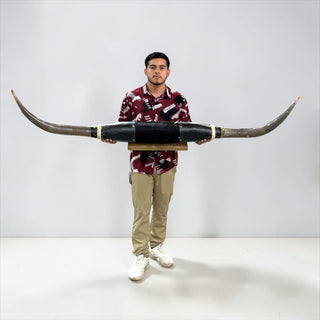 5.9ft Longhorn mount (h11)