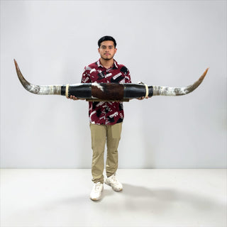 5.2ft Longhorn mount (h12)