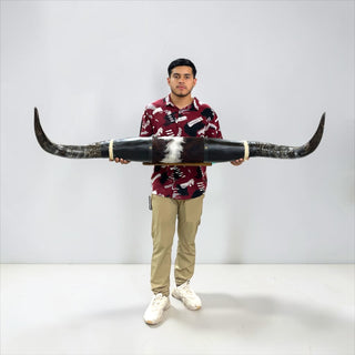 4.9ft Longhorn mount (h14)
