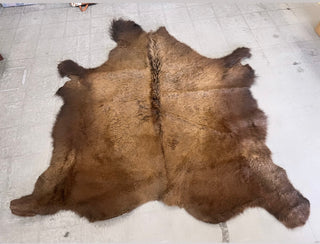 Buffalo hide A grade 7x7’