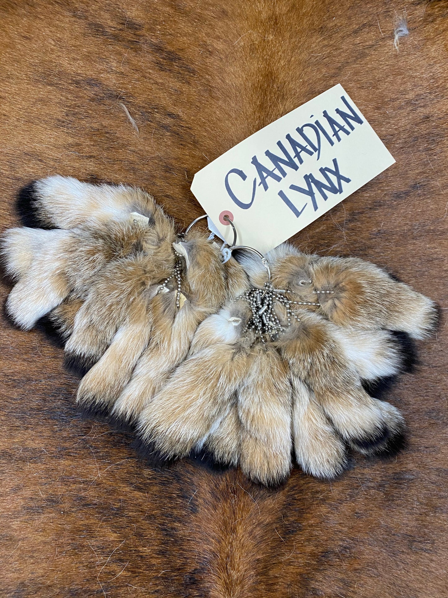 Canadian Natural Lynx Tail
