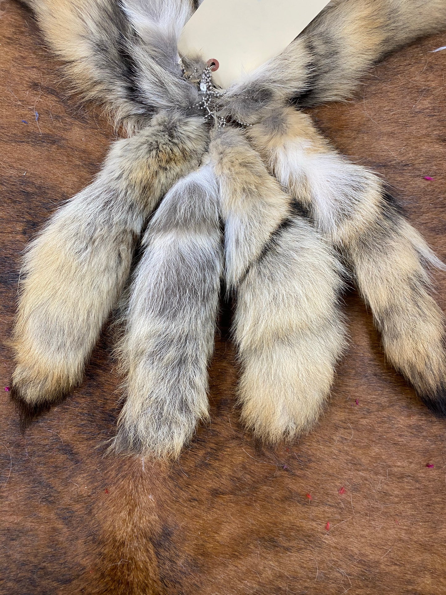Natural Coyote Tail